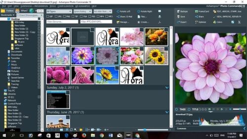 Ashampoo Photo Commander: Image Editing Software with 50+ Tools
