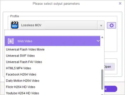 DRM Media Converter