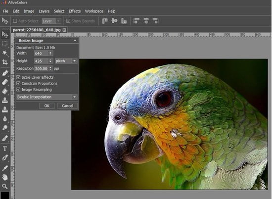 photo editing software