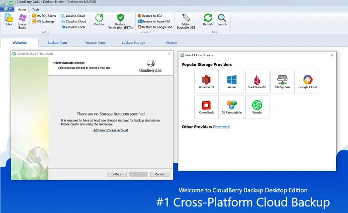 Cloudberry backup cloud options