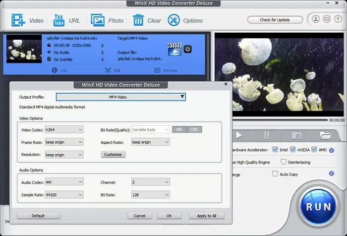 WinX HD Video Converter Deluxe: HEVC converter for Windows