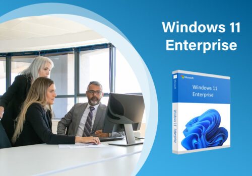 buy Windows 11 enterprise