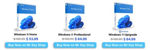 buy windows 11 mr key shop