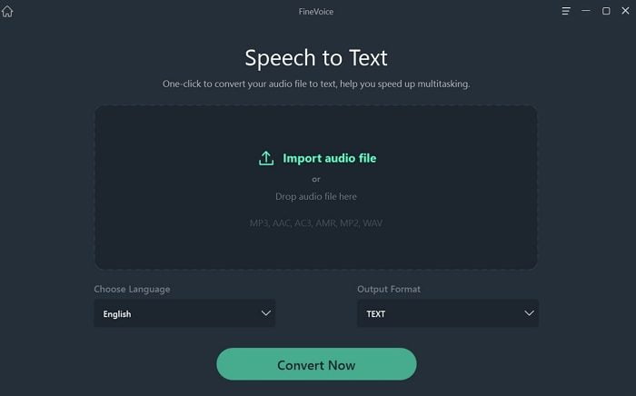 Finevoice speech to text