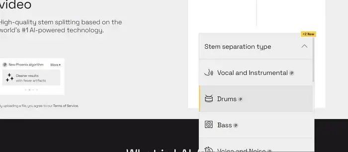 Choose Separation Type Lalal