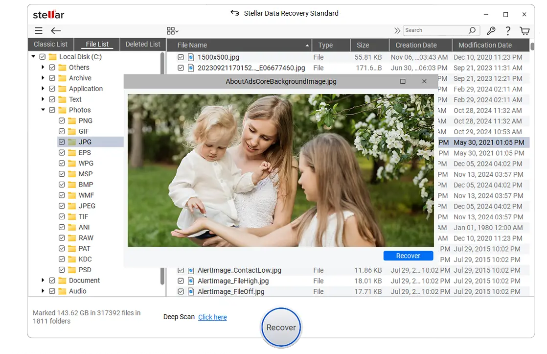 Stella Data Recovery Recover Files