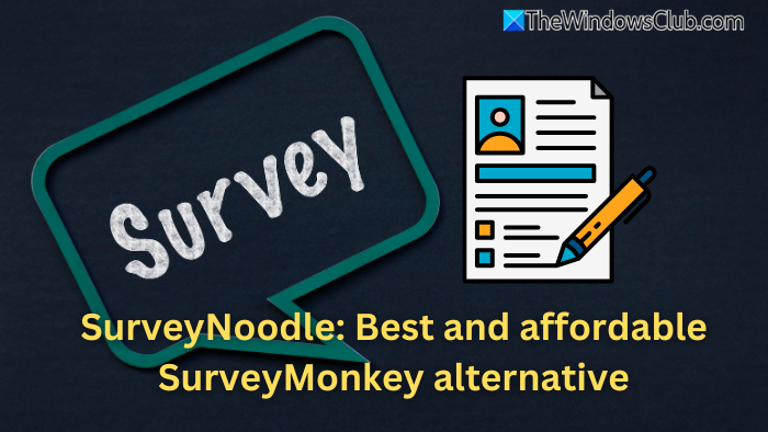 Survey Noodle